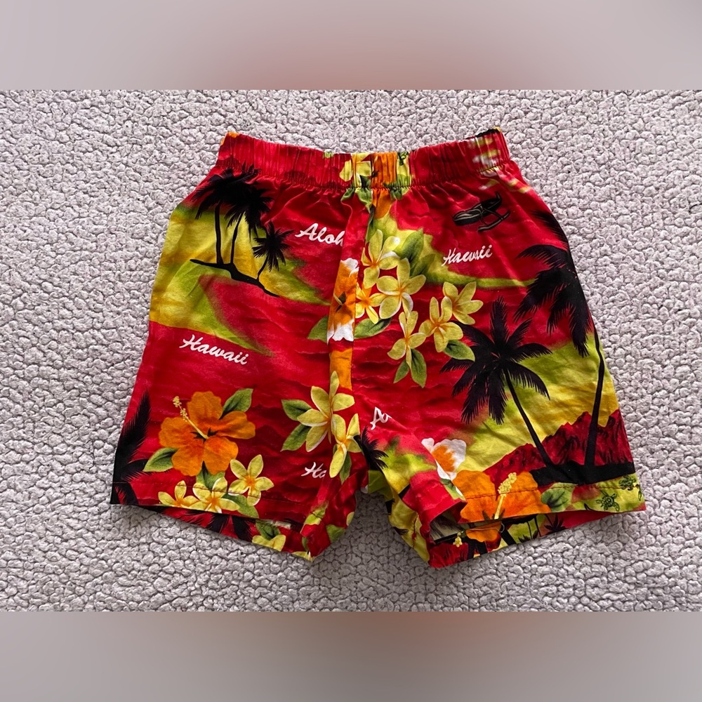 Hawaii Station Kids Elastic Waist Hawaii Multicolor Pull On Shorts Size: 1-2